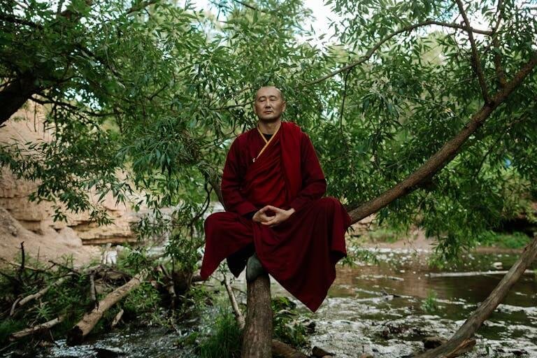 A monk in deep meditation, sitting peacefully on a tree in a tranquil forest by a river.